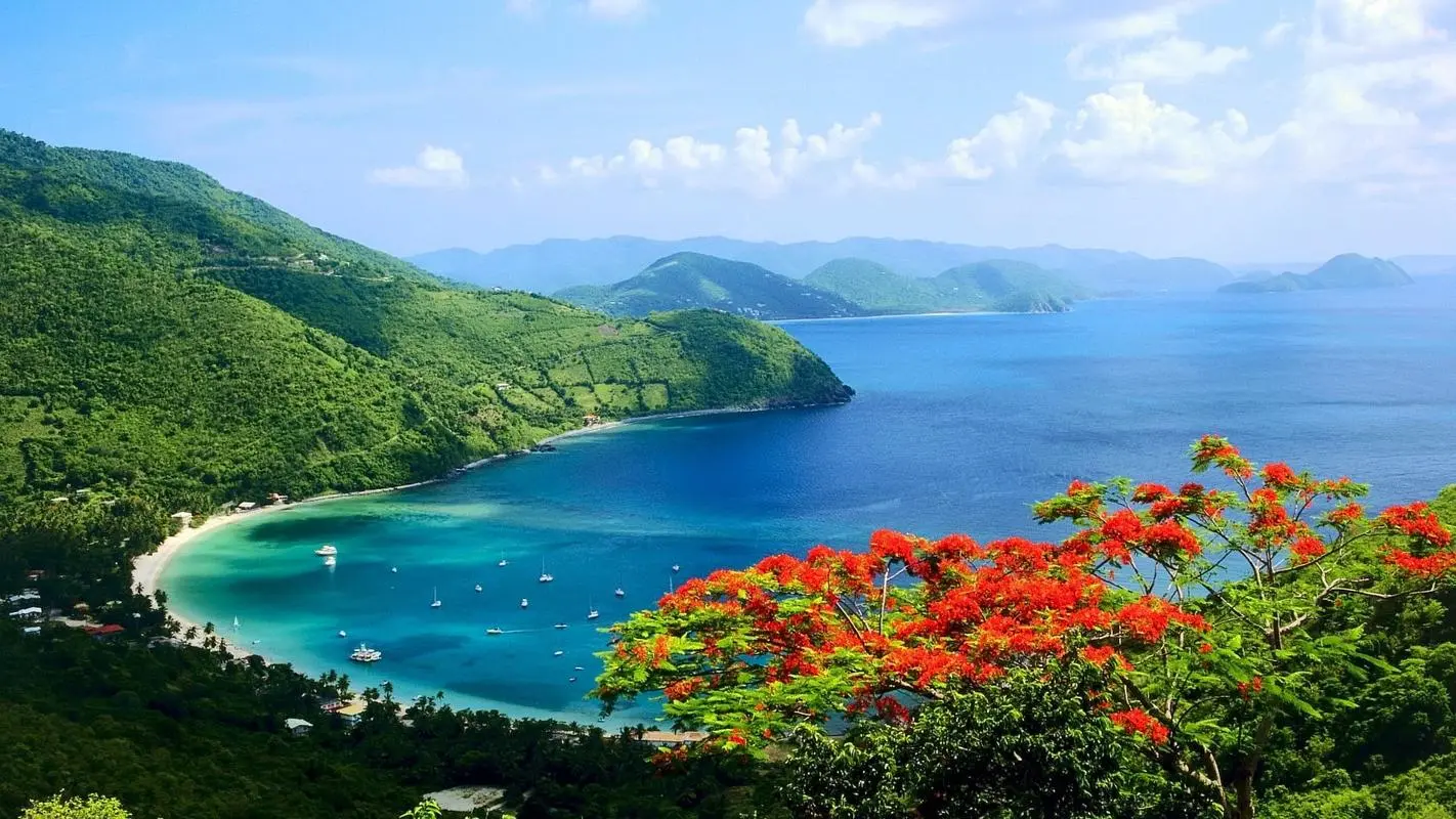 自动化全自动节能